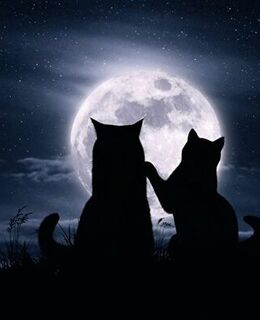 Абдугаффор Латипов