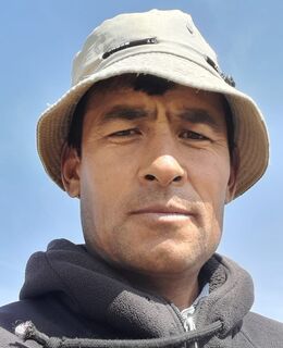 Ali